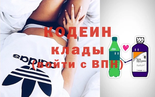 индика Лихославль