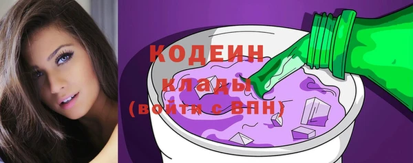 индика Лихославль