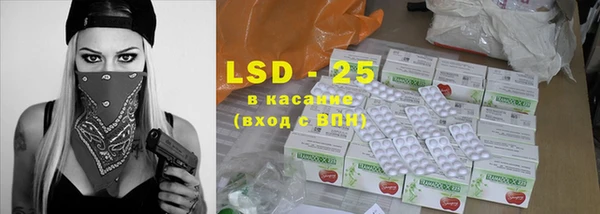 индика Лихославль