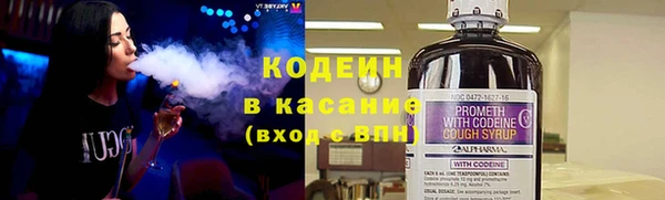 индика Лихославль
