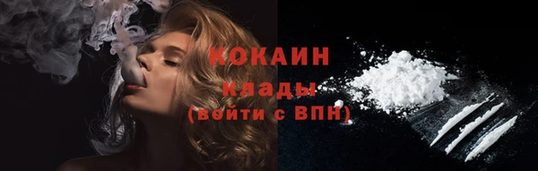 индика Лихославль