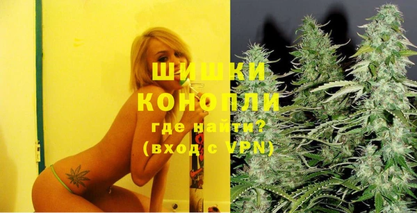 ГАЛЛЮЦИНОГЕННЫЕ ГРИБЫ Лагань