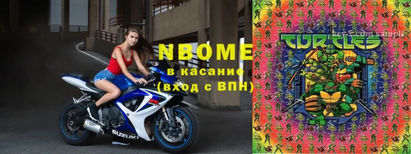 индика Лихославль