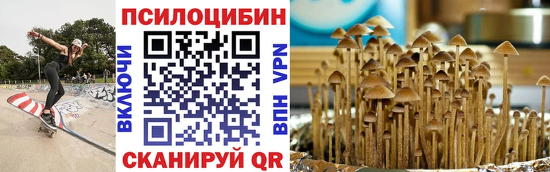 Псилоцибиновые грибы Psilocybe  Малоархангельск 